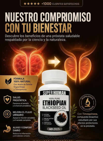 CÁPSULAS DE SEMILLA NEGRA ETIOPIE - Alivia y Desinflama su Prostata